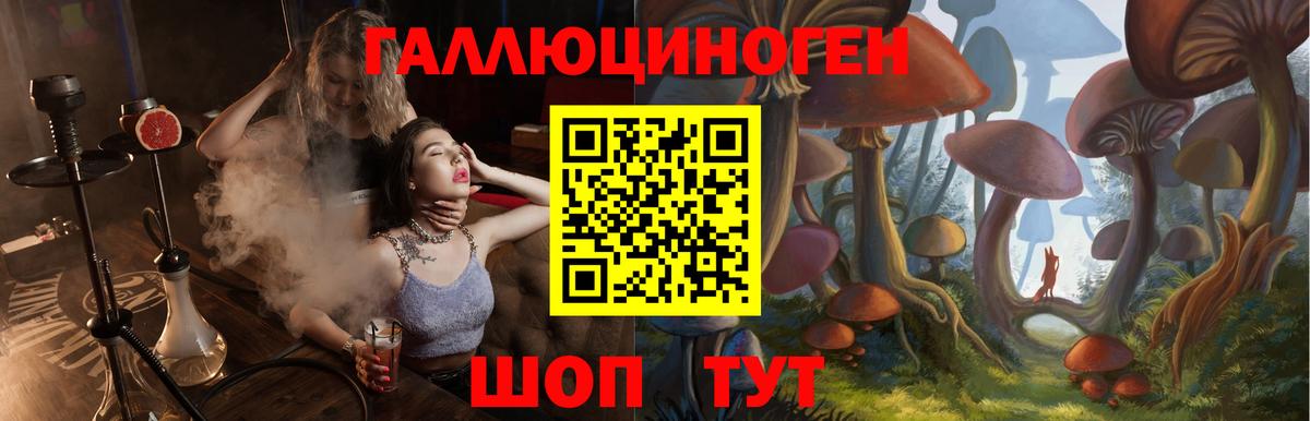 Псилоцибиновые грибы мухоморы  Вход с VPN  Можайск  Галлюциногенные грибы мицелий 